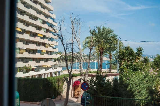Apartment in Calpe(Playa de Fossa Levante) zu verkaufen, Living area 55 m², Klimaanlage, 1 Schlafzimmer, 1 Badezimmer, Pool, ref.: COB-3554-10535-2