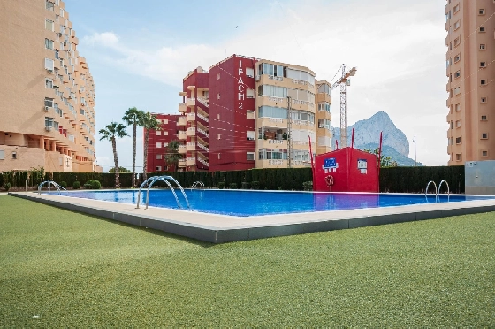 Apartment in Calpe(Playa de Fossa Levante) zu verkaufen, Living area 55 m², Klimaanlage, 1 Schlafzimmer, 1 Badezimmer, Pool, ref.: COB-3554-10535-3