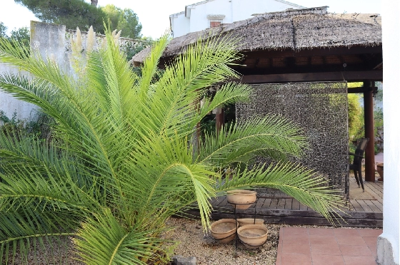 Villa in Murla zu verkaufen, Living area 94 m², Plot 844 m², 2 Schlafzimmer, 2 Badezimmer, ref.: PT-25012-3