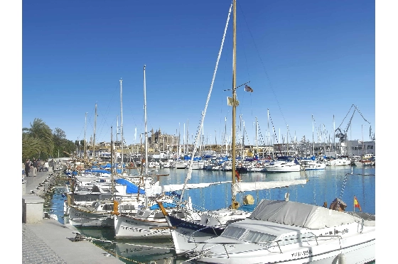 Apartment in Palma De Mallorca(Palma centre) zu verkaufen, Living area 82 m², Plot 88 m², 2 Schlafzimmer, 2 Badezimmer, ref.: TW-6-PALMA-25