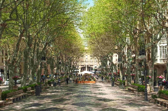 Apartment in Palma De Mallorca(Palma centre) zu verkaufen, Living area 82 m², Plot 88 m², 2 Schlafzimmer, 2 Badezimmer, ref.: TW-6-PALMA-28