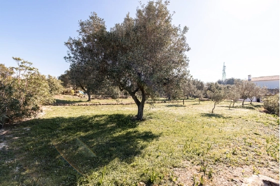 CA-85622-49.webp